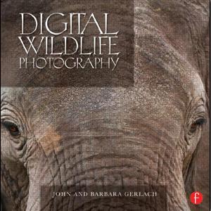 Digital Wildlife Photography - STUDENTFILMMAKERS.COM STORE